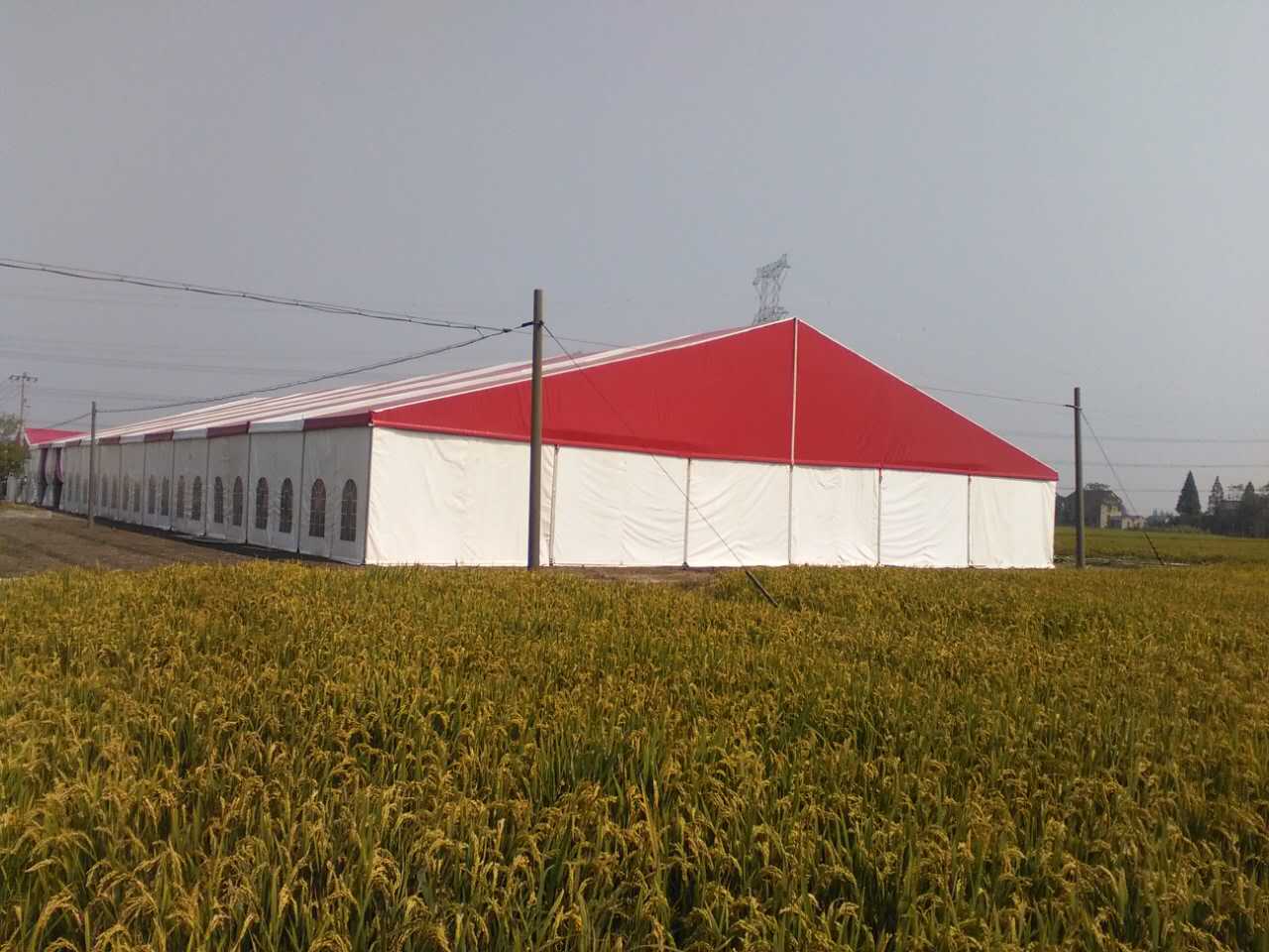 Tienda temporal al aire libre personalizada de Warehouse para tienda de almacenamiento industrial exterior