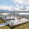 Carpa para fiesta de boda al aire libre de alta calidad, carpa de atrio transparente de lujo a la venta