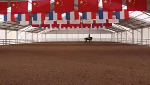  Carpa de natación de gran tamaño y alta calidad, carpa para tenis, carpa para pelotas de baloncesto, carpa para Padel, carpa para fútbol para competición